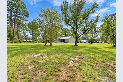 14641 NE 154th Street, Fort Mc Coy, FL 32134 - Photo 9