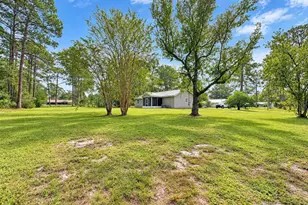 14641 NE 154 St, Fort Mc Coy, FL 32134 - Photo 9