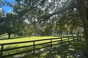 8585 NW 162nd Ct, Morriston, FL 32668 - Photo 23