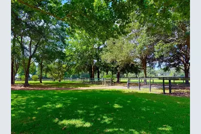 8585 NW 162nd Court, Morriston, FL 32668 - Photo 5