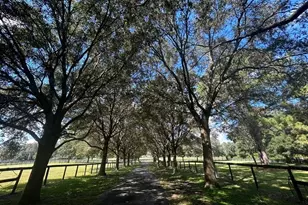 8585 NW 162nd Ct, Morriston, FL 32668 - Photo 25