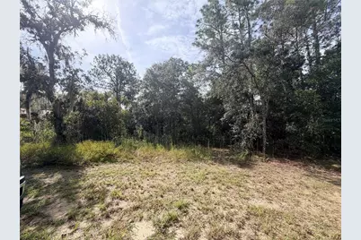 5066 E Anna Jo Drive, Inverness, FL 34452 - Photo 3