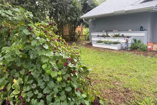 1077 SE 170th Ct, Silver Springs, FL 34488 - Photo 5