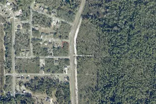 0 Fisher Loop Course, Ocklawaha, FL 32179 - Photo 1