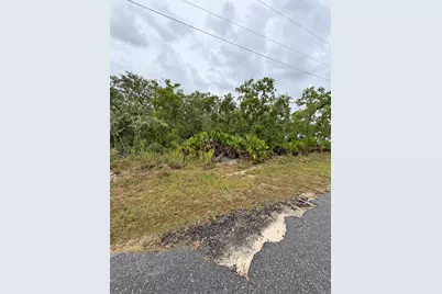 0 Fisher Loop Course, Ocklawaha, FL 32179 - Photo 5