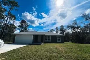 3 Fisher Way Pl, Ocklawaha, FL 32179 - Photo 1