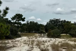 13451 SE 98th St, Dunnellon, FL 34431 - Photo 51