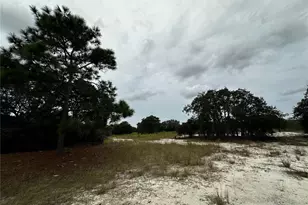 13451 SE 98th St, Dunnellon, FL 34431 - Photo 57