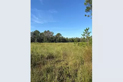 123 Rd Lane, Bronson, FL 32621 - Photo 5
