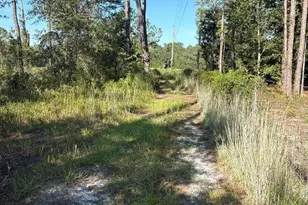 123 Rd Ln, Bronson, FL 32621 - Photo 1