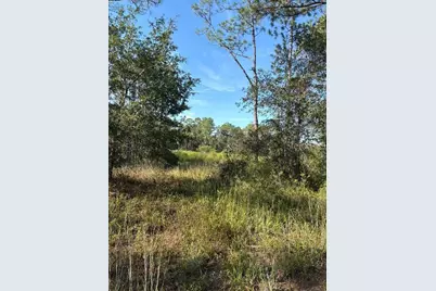 123 Rd Lane, Bronson, FL 32621 - Photo 3