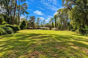 126 Bayberry Rd, Georgetown, FL 32139 - Photo 39