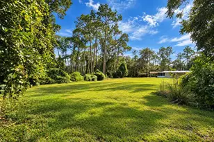 126 Bayberry Rd, Georgetown, FL 32139 - Photo 37