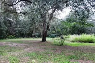 12231 NE 64 Pl, Williston, FL 32696 - Photo 5