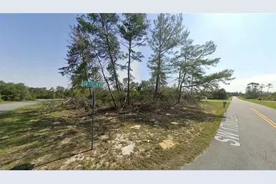 Tbd SW 178th Lane Road, Ocala, FL 34473 - Photo 3