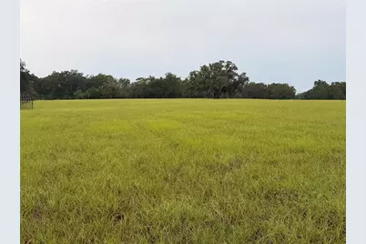 6851 SE Highway 41, Morriston, FL 32668 - Photo 3