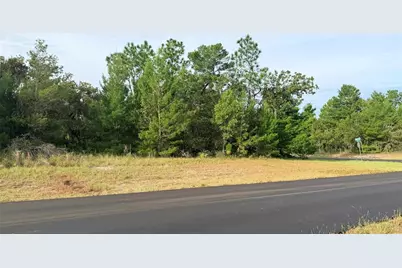 0 SW 139th Place Road, Ocala, FL 34473 - Photo 7