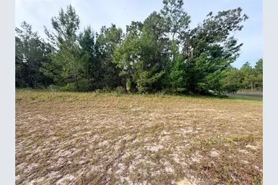 0 SW 139th Place Road, Ocala, FL 34473 - Photo 5