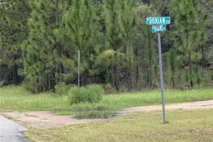 6443 N Dorian Terrace, Dunnellon, FL 34433 - Photo 1