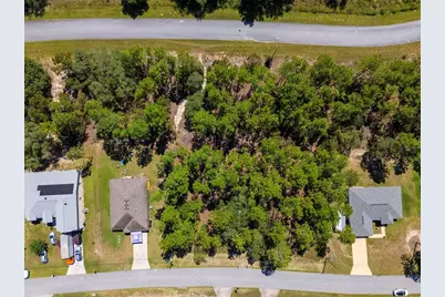 922 W Smallman Place, Citrus Springs, FL 34434 - Photo 5