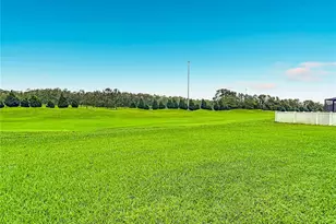 30541 Satinleaf Run, Brooksville, FL 34602 - Photo 47