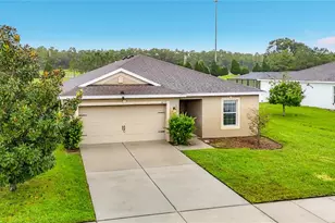 30541 Satinleaf Run, Brooksville, FL 34602 - Photo 3