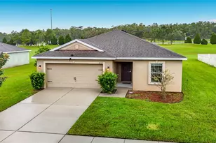 30541 Satinleaf Run, Brooksville, FL 34602 - Photo 1