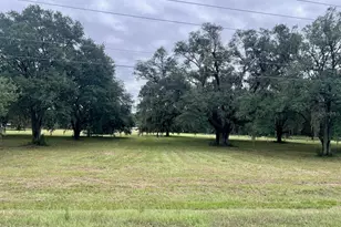 3451 NE 167 Ct, Williston, FL 32696 - Photo 47