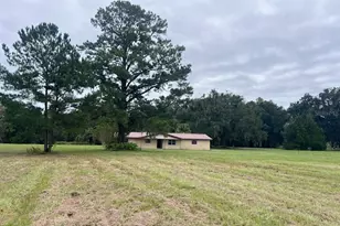 3451 NE 167 Ct, Williston, FL 32696 - Photo 3