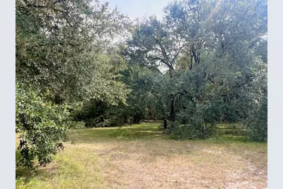 3451 NE 167th Court, Williston, FL 32696 - Photo 31