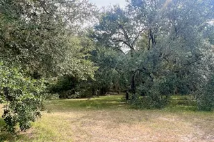 3451 NE 167 Ct, Williston, FL 32696 - Photo 31