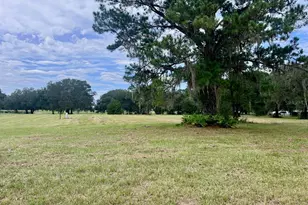 3451 NE 167 Ct, Williston, FL 32696 - Photo 45