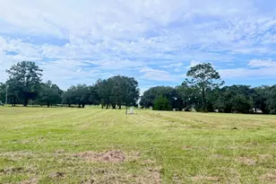 3451 NE 167 Ct, Williston, FL 32696 - Photo 43