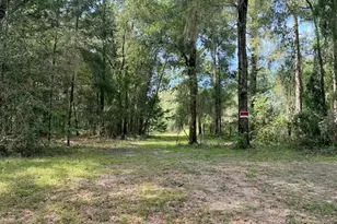 3451 NE 167 Ct, Williston, FL 32696 - Photo 39