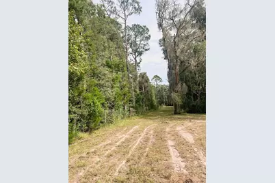 3451 NE 167th Court, Williston, FL 32696 - Photo 35