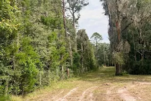 3451 NE 167 Ct, Williston, FL 32696 - Photo 35
