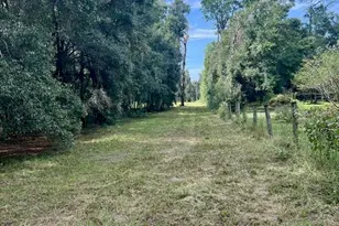 3451 NE 167 Ct, Williston, FL 32696 - Photo 37