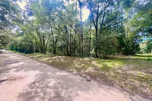 3451 NE 167 Ct, Williston, FL 32696 - Photo 41