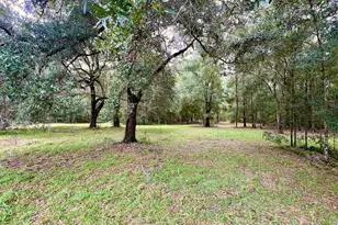 3451 NE 167 Ct, Williston, FL 32696 - Photo 33