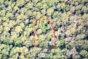 9452 N Irondale Rd, Citrus Springs, FL 34434 - Photo 1