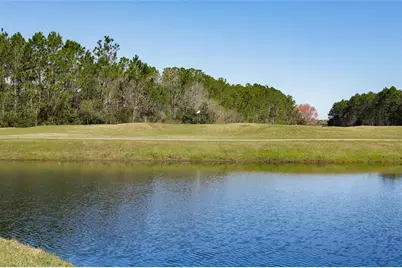 4420 Castle Palm Court, Orange Park, FL 32065 - Photo 79