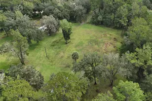 10379 NE Hwy 314, Silver Springs, FL 34488 - Photo 5