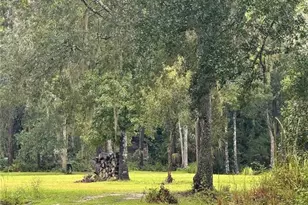10379 NE Hwy 314, Silver Springs, FL 34488 - Photo 3