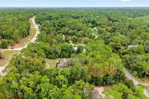 9000 SW 206th Ct Rd, Dunnellon, FL 34431 - Photo 67