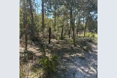 Sw 92nd  Place, Dunnellon, FL 34432 - Photo 3