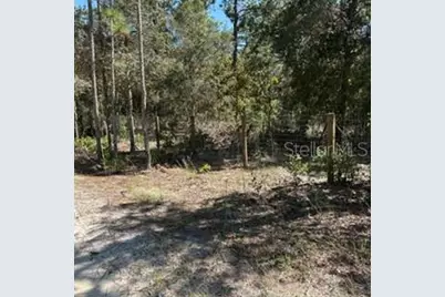 Sw 92nd  Place, Dunnellon, FL 34432 - Photo 9
