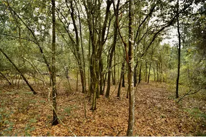 00 50th St, Live Oak, FL 32060 - Photo 31