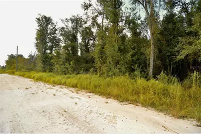 00 50th St, Live Oak, FL 32060 - Photo 19