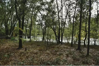 00 50th St, Live Oak, FL 32060 - Photo 13