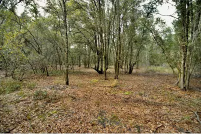 00 50th St, Live Oak, FL 32060 - Photo 43